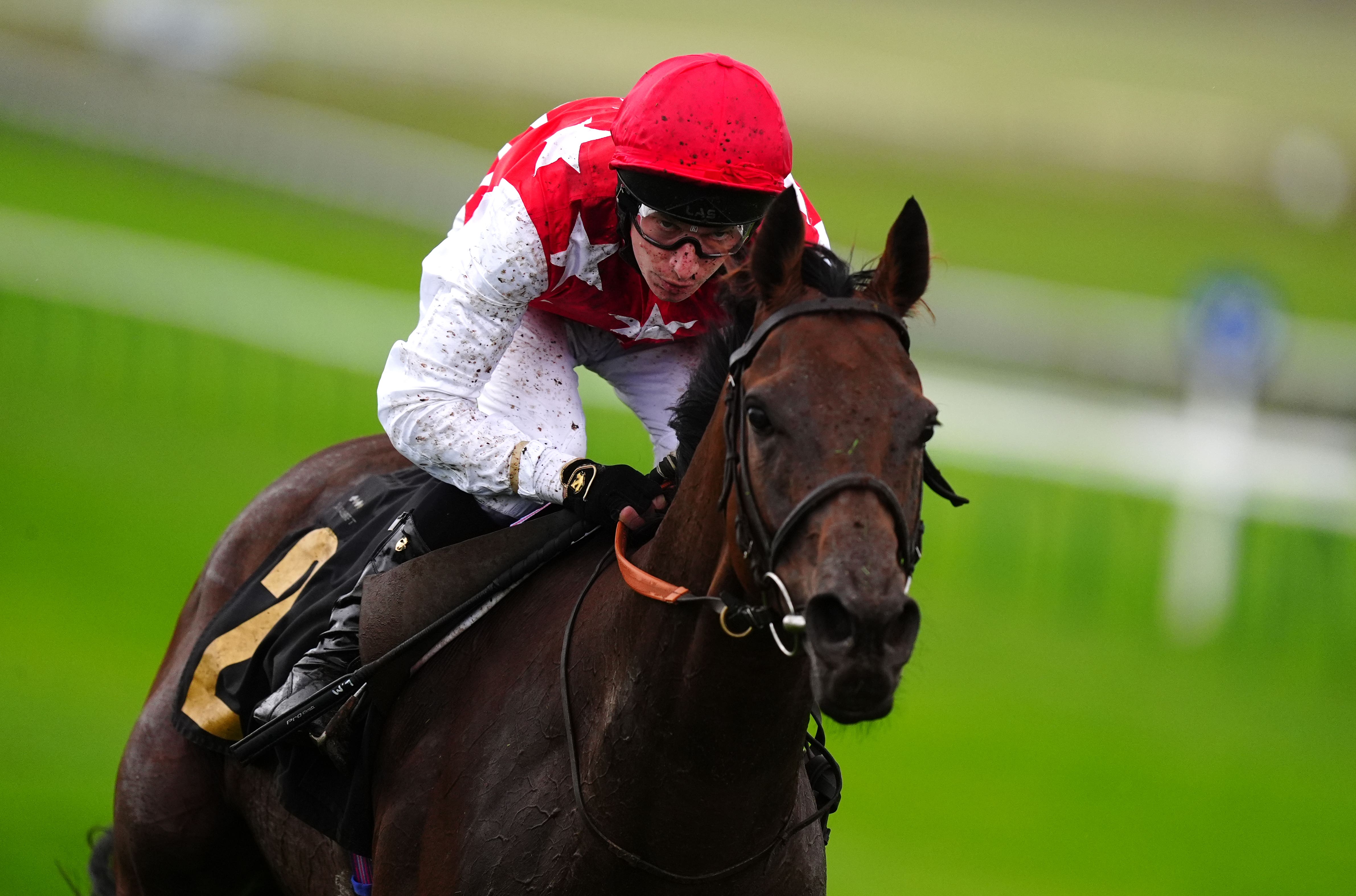 Al Nayyir was second in this race last year (